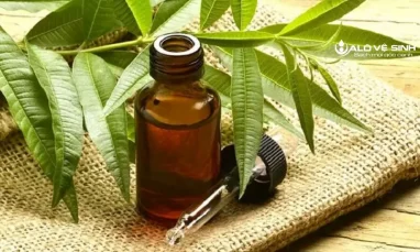 Hướng dẫn cách giặt thảm yoga cao su bằng tinh dầu trà