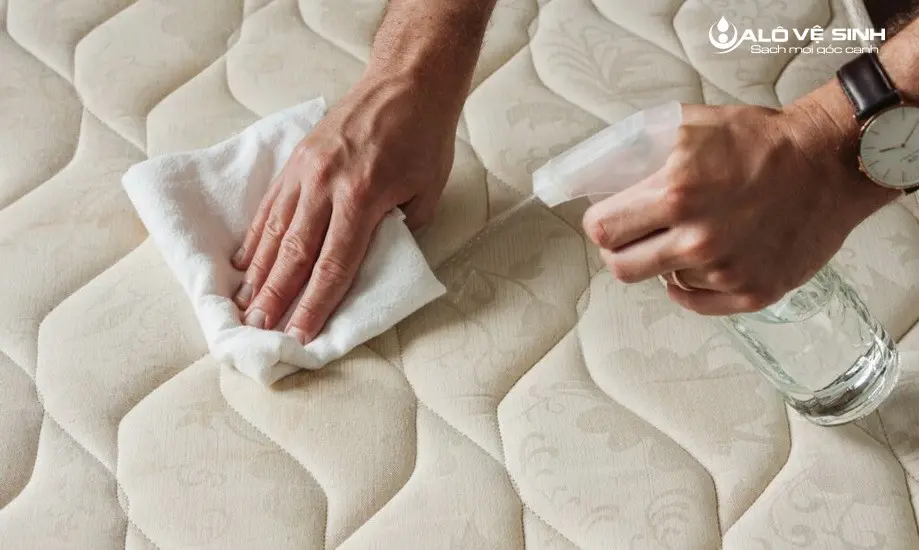 Dùng khăn sạch và khô để thấm hút vết nôn càng nhiều càng tốt