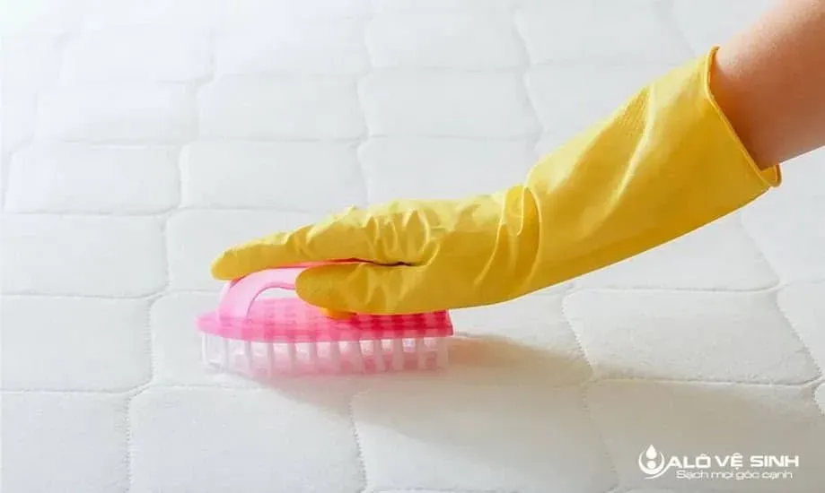 Bạn hãy sử dụng khăn khô để thấm vào vị trí bị đổ nước