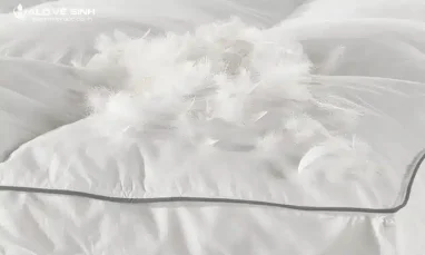 Nệm lông vũ sở hữu hình dạng đặc trưng vốn có