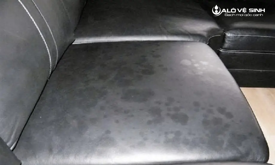 Sofa bị mốc do độ ẩm không khí trong nhà quá thấp