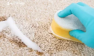 Tẩy vết nước tương trên thảm rất khó làm sạch