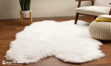 Thảm lông không vệ sinh lâu ngày sẽ tích tụ nhiều vi khuẩn