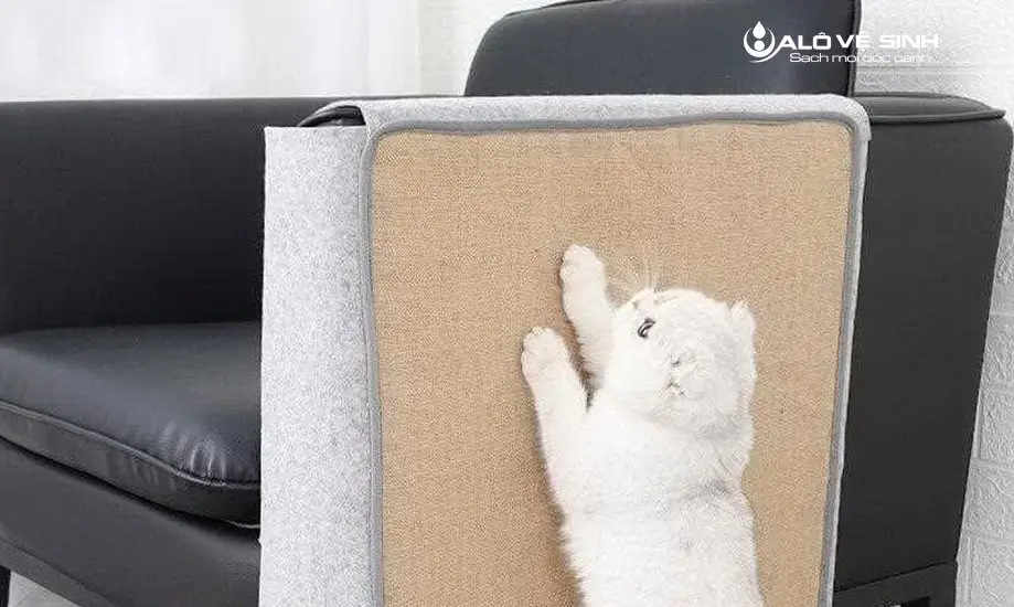 Bọc che ghế sofa da giúp sofa tránh bị mèo cào