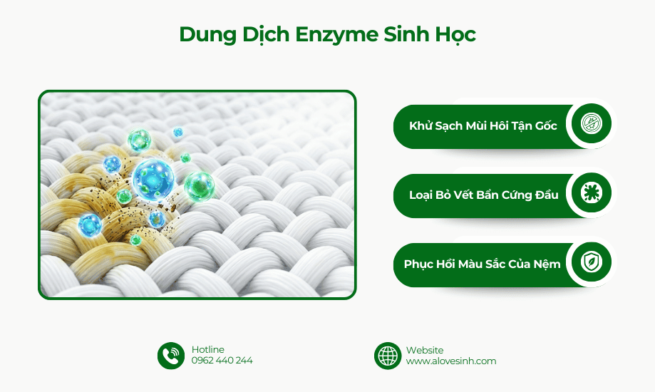 Dung dịch giặt nệm Enzyme sinh học khử sạch mùi hôi, loại bỏ vết bẩn cứng đầu
