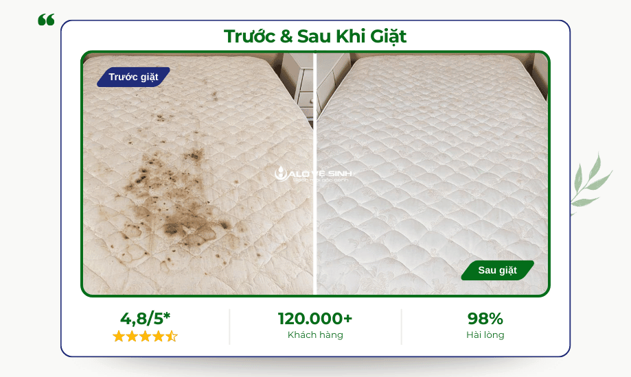 So sánh nệm bị nấm mốc đã được dịch vụ giặt nệm xử lý và khử khuẩn triệt để