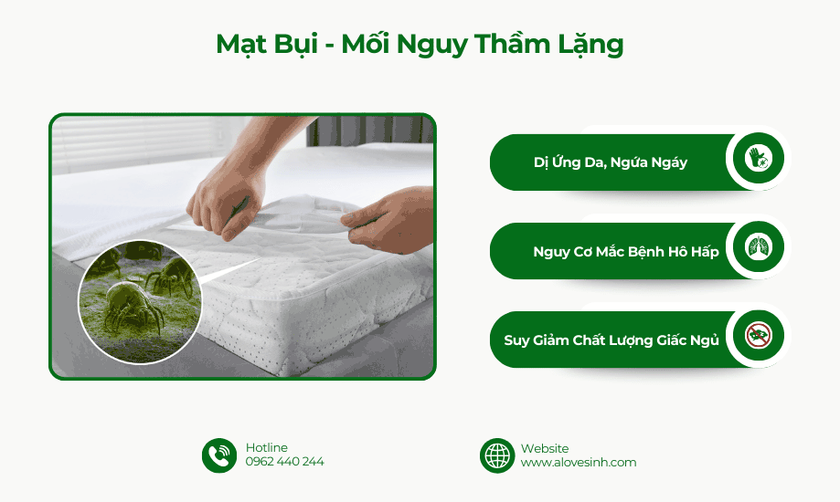 Tác hại của mạt bụi gây dị ứng da và bệnh hô hấp nếu không vệ sinh nệm định kỳ