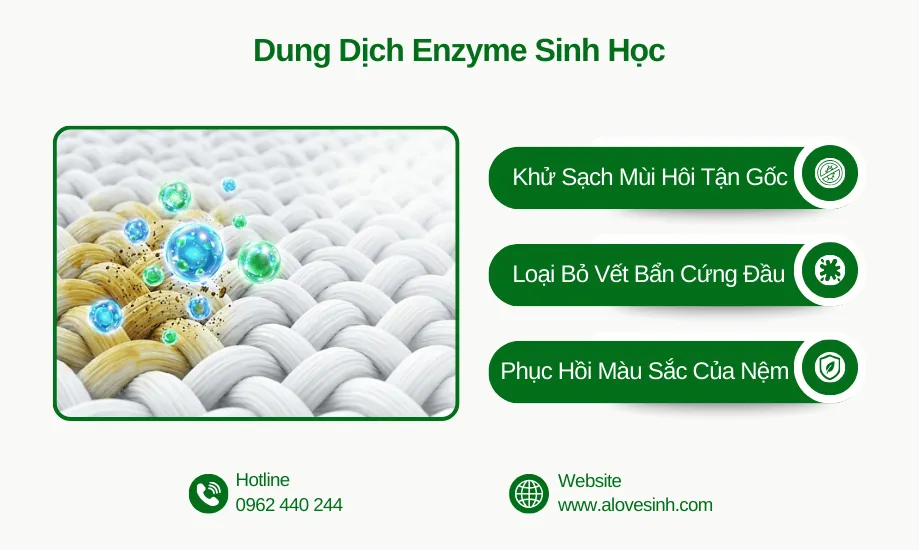 Dung dịch giặt nệm Enzyme sinh học khử sạch mùi hôi, loại bỏ vết bẩn cứng đầu