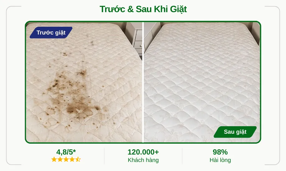 Kỹ thuật giặt nệm xử lý nấm mốc đen tích tụ