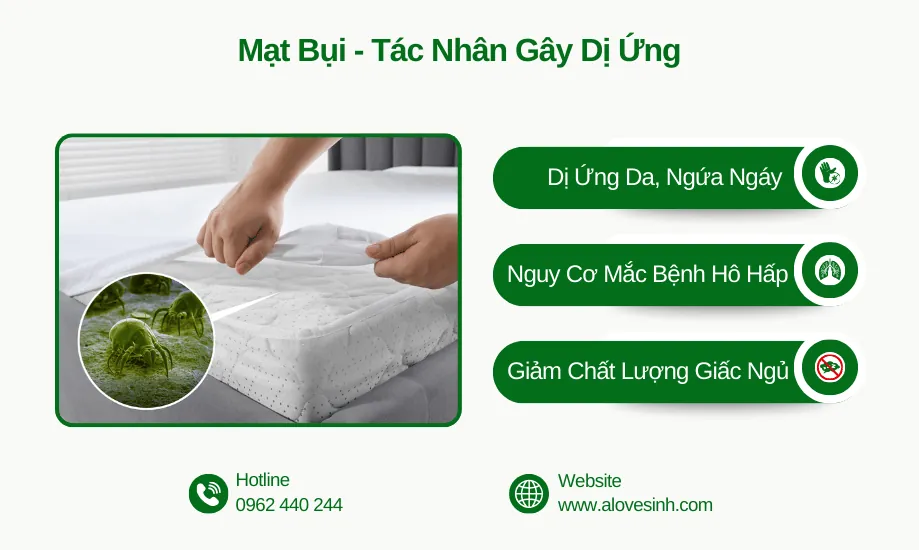 Tác hại của mạt bụi gây dị ứng da và bệnh hô hấp nếu không vệ sinh nệm định kỳ