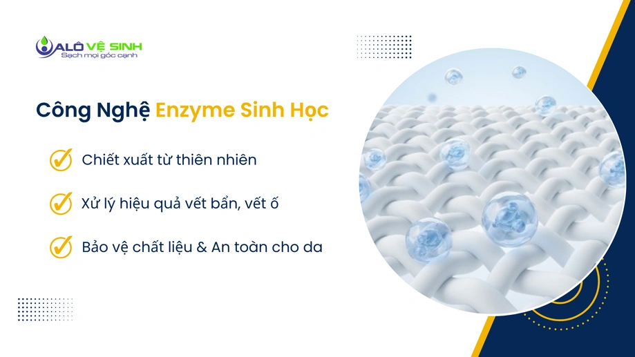 Dịch vụ vệ sinh thảm tại nhà Gò Vấp bằng enzyme sinh học an toàn