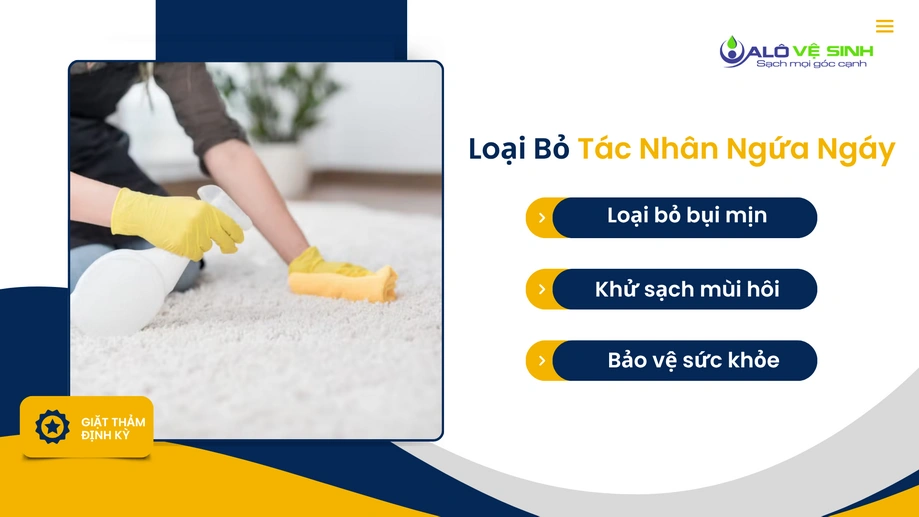 Dịch vụ giặt thảm Củ Chi loại bỏ bụi mịn và vi khuẩn ẩn sâu