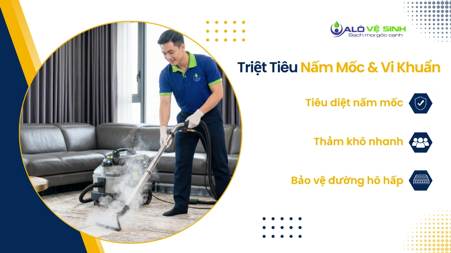 Dung dịch giặt hỗ trợ làm khô giặt thảm Quận 1