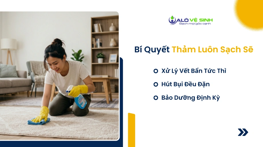 Mẹo bảo quản sau khi sử dụng dịch vụ giặt thảm Quận 10 để giữ độ bền