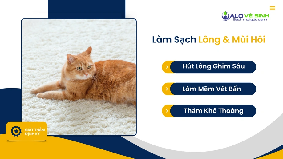 Giặt thảm Quận 6 máy hút công suất lớn làm sạch lông tơ