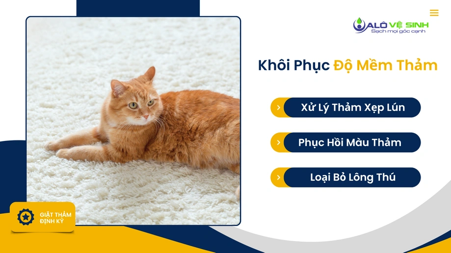 Vệ sinh thảm Quận 3 giúp khôi phục độ xốp sợi vải