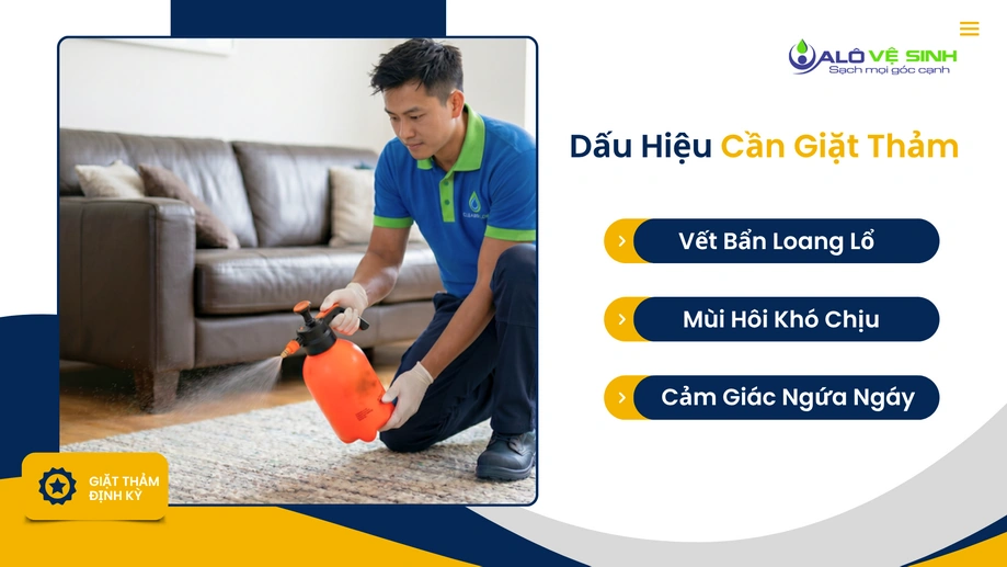 Kỹ thuật viên kiểm tra vết ố trước khi vệ sinh thảm Bình Chánh