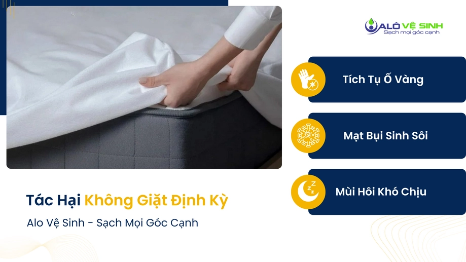 Trì hoãn vệ sinh nệm Quận 9 khiến vi khuẩn sinh sôi