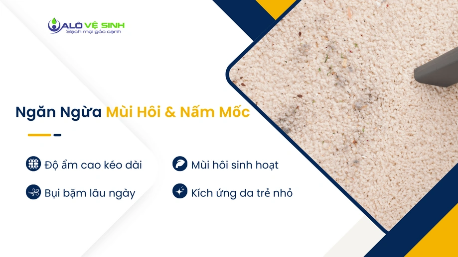 Vệ sinh thảm Bình Thạnh định kỳ giúp thảm sạch sẽ