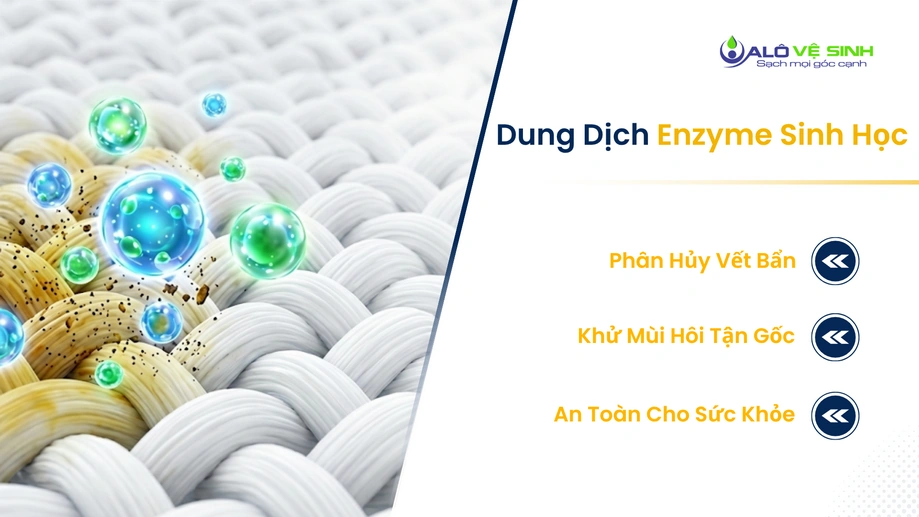 Vệ sinh thảm Quận 10 bằng Enzyme sinh học giúp làm sạch sâu vết bẩn