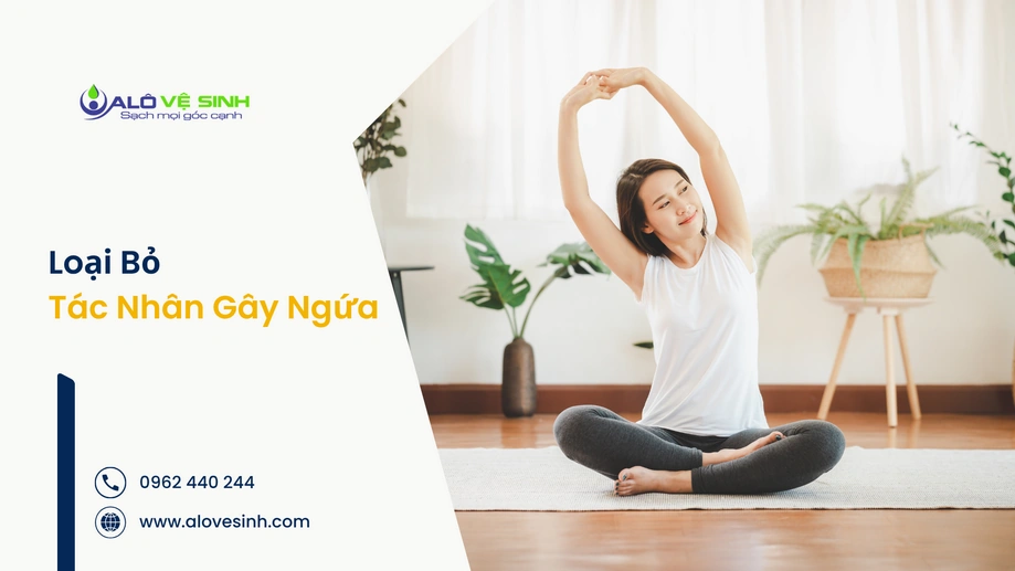 Kỹ thuật viên vệ sinh thảm Quận 2 hỗ trợ hút sạch bụi bẩn